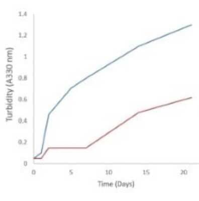 In vitro assay: Recombinant Human Transthyretin/Prealbumin Y78F Variant, Filaments Protein [NBP3-14788]