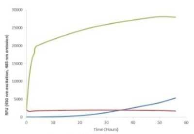 In vitro assay: Recombinant Human alpha-Synuclein Active, Monomer, (Type 1), A53T Mutant Protein [NBP3-14766]