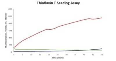 In vitro assay: Recombinant Human alpha-Synuclein Active, Monomer, (Type 1) Acetyl (N-Term) Protein [NBP3-14768]