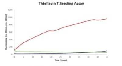 In vitro assay: Recombinant Human alpha-Synuclein Active, Pre-formed Fibrils, (Type 1) Acetyl (N-Term) Protein [NBP3-14769]