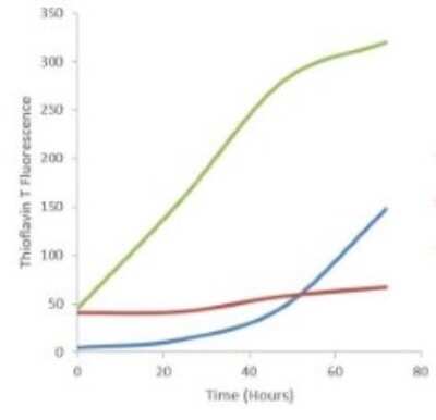 In vitro assay: Recombinant Human gamma-Synuclein Active, Pre-formed Fibrils, (Type 1) Protein [NBP3-14780]