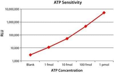 Functional: Recombinant Luciferase (firefly) Protein [NBP3-18743]