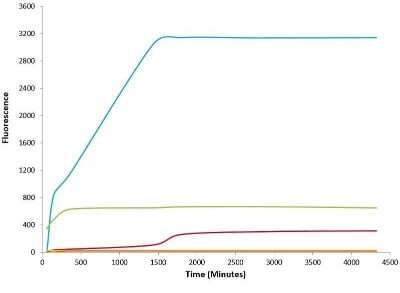 In vitro assay: Recombinant Mouse alpha-Synuclein Active, Monomer, (Type 1) Protein [NBP2-61595]