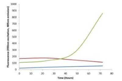 In vitro assay: Recombinant Mouse gamma-Synuclein Active, Monomer Protein [NBP3-14779]