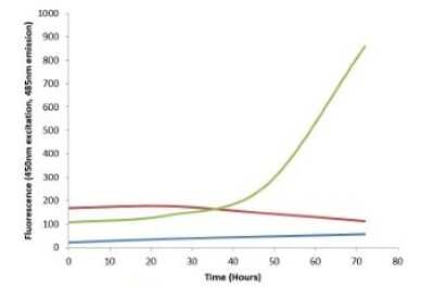 In vitro assay: Recombinant Mouse gamma-Synuclein Active, Pre-formed Fibrils, (Type 1) Protein [NBP3-14781]