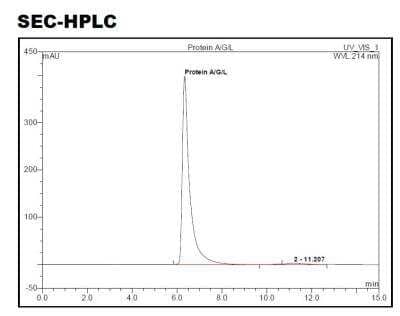 HPLC: Recombinant Protein A/G/L Protein [NBP2-34985]