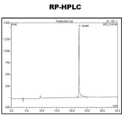 HPLC: Recombinant Protein A/G Cys (C-Term) Protein [NBP2-34999]