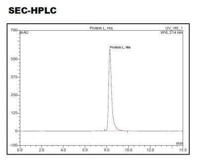 HPLC: Recombinant Protein L Type 1 His (N-Term) Protein [NBP2-35045]
