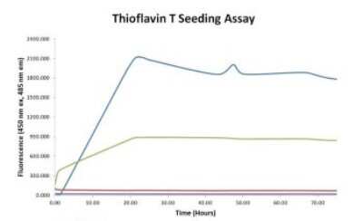 In vitro assay: Recombinant Rat alpha-Synuclein Active, Monomer Protein [NBP3-14773]