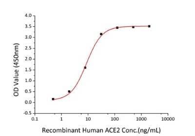 ELISA: Recombinant SARS-CoV-2 Spike S1 His (C-Term) Protein [NBP2-90985]