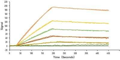 Surface Plasmon Resonance: Recombinant SARS-CoV-2 Spike S1 His (C-Term) Protein [NBP2-90985]