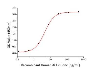 ELISA: Recombinant SARS-CoV-2 Spike S1 (RBD) His (C-Term) Protein [NBP2-90982]