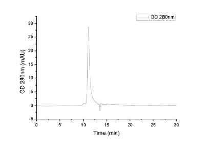 HPLC: Recombinant SARS-CoV-2 Spike S1 (RBD) His (C-Term) Protein [NBP2-90982]