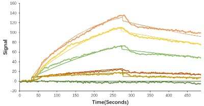 Surface Plasmon Resonance: Recombinant SARS-CoV-2 Spike S1 (RBD) His (C-Term) Protein [NBP2-90982]