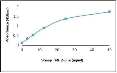 ELISA: Recombinant Sheep TNF-alpha Protein [NBP3-11067]