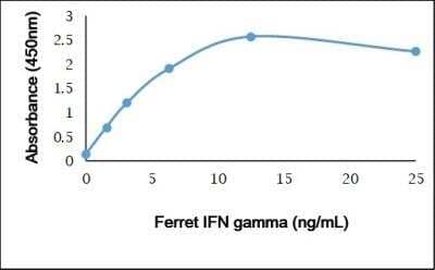 ELISA: Recombinant Ferret IFN-gamma Protein [NBP3-11055]