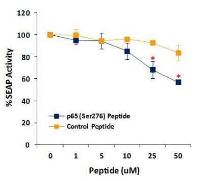 Functional (Inhibition): RelA/NFkB p65 [p Ser276] Inhibitor Peptide Set [NBP2-26505]