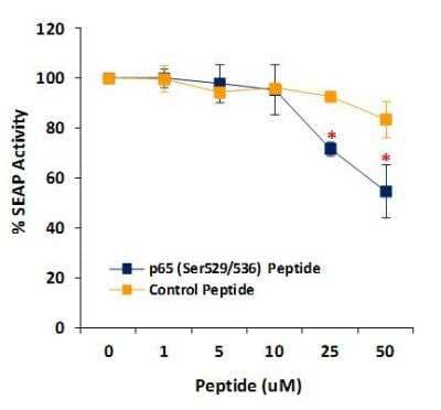 Functional (Inhibition): RelA/NFkB p65 [p Ser529, p Ser536] Inhibitor Peptide Set [NBP2-29321]