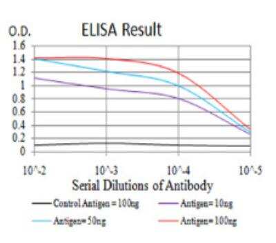 ELISA: Renalase Antibody (1C11E8) - BSA Free [NBP2-52554]