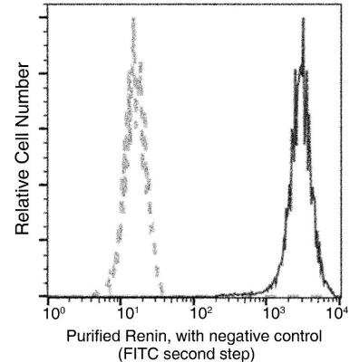 Flow Cytometry: Renin Antibody (009) [NBP2-89723]