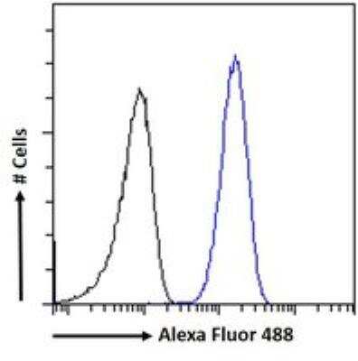 Flow Cytometry: Renin R Antibody [NB100-1318]