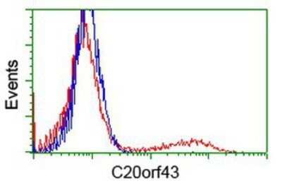 Flow Cytometry: Replication Termination Factor 2 Antibody (OTI1E8) - Azide and BSA Free [NBP2-71934]