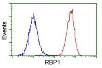 Flow Cytometry: Retinol Binding Protein RBP Antibody (OTI2H3) [NBP2-00637]
