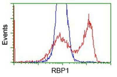 Flow Cytometry: Retinol Binding Protein RBP Antibody (OTI2H3) [NBP2-00637]