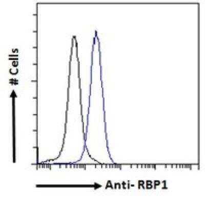 Flow Cytometry: Retinol Binding Protein RBP Antibody [NB100-1494]