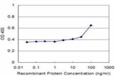 ELISA: Rev-erb A alpha/NR1D1 Antibody (1F4) [H00009572-M16]