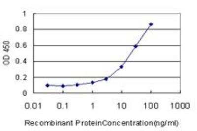 ELISA: Rev-erb A alpha/NR1D1 Antibody (4F6) [H00009572-M02]