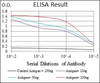 ELISA: Rex-1/ZFP42 Antibody (5E11A6) - BSA Free [NBP2-37357]