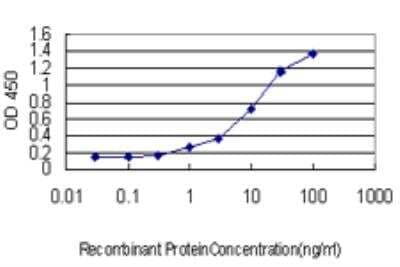 ELISA: Rheb Antibody (1E12) [H00006009-M05]