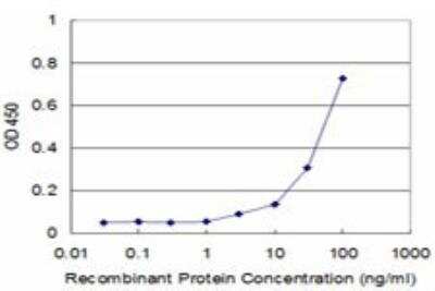 ELISA: Rheb Antibody (2C11) [H00006009-M01]