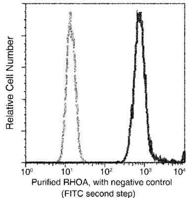 Flow Cytometry: RhoA Antibody (036) [NBP2-90105]