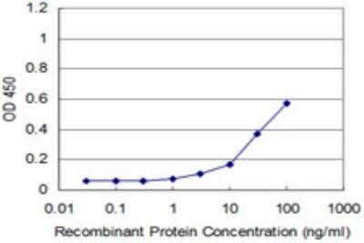 ELISA: RhoA Antibody (1B12) [H00000387-M04]
