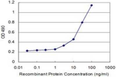 ELISA: RhoA Antibody (1C1) [H00000387-M05]