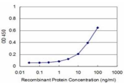 ELISA: RhoA Antibody (1G7-1D11) [H00000387-M02]