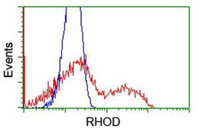 Flow Cytometry: RhoD Antibody (OTI2F7) [NBP2-01462]