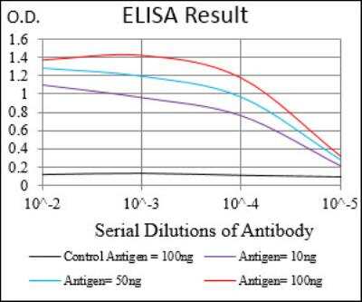 ELISA: RhoF Antibody (1D4B6) - BSA Free [NBP2-52553]