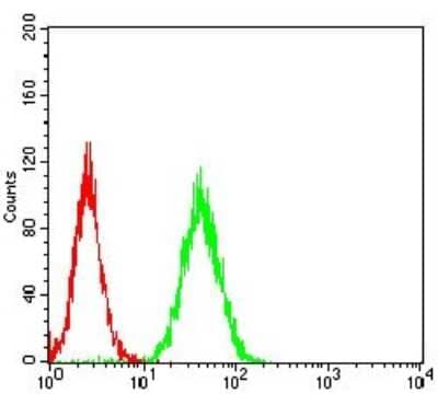 Flow Cytometry: RhoF Antibody (1D4B6) - BSA Free [NBP2-52553]