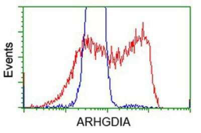 Flow Cytometry: RhoGDI Antibody (OTI1F2) [NBP2-02467]