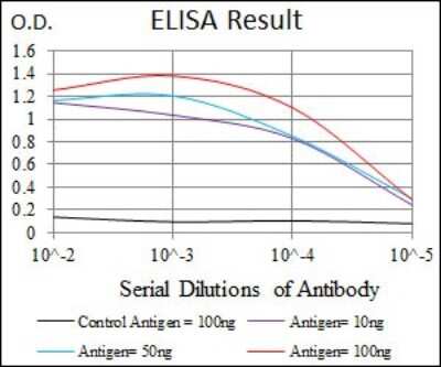 ELISA: RhoGDI Antibody (2G3) - BSA Free [NBP2-37472]