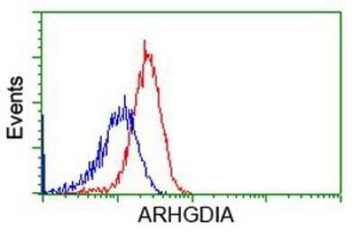 Flow Cytometry: RhoGDI Antibody (OTI1F2) - Azide and BSA Free [NBP2-73890]