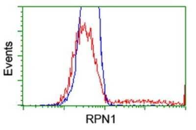 Flow Cytometry: Ribophorin I Antibody (OTI3H3) [NBP2-01294]