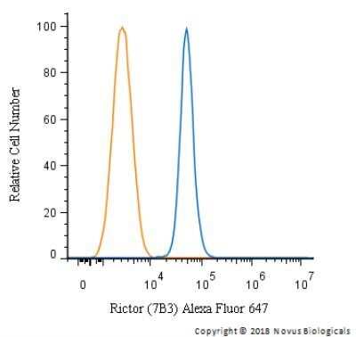 Flow Cytometry: Rictor Antibody (7B3) - Azide and BSA Free [NBP2-80925]