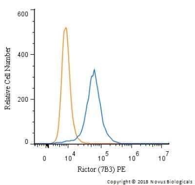 Flow Cytometry: Rictor Antibody (7B3) - Azide and BSA Free [NBP2-80925]