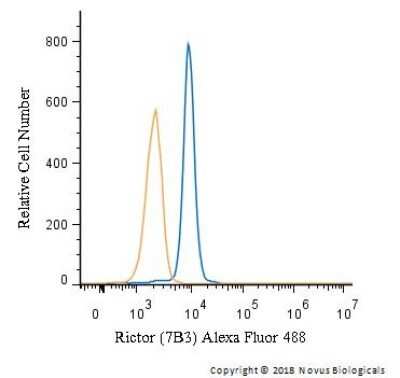 Flow Cytometry: Rictor Antibody (7B3) - Azide and BSA Free [NBP2-80925]