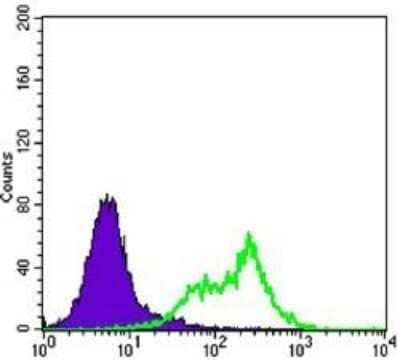 Flow Cytometry: Rictor Antibody (7B3) - Azide and BSA Free [NBP2-80925]