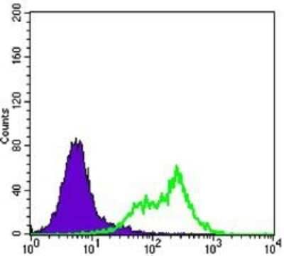 Flow Cytometry: Rictor Antibody (7B3) - BSA Free [NBP1-51645]